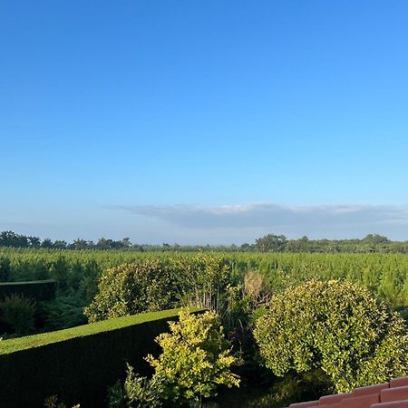 Jolie Maison De Vacances Avec Terrasse Et Jardin Saint-Julien-en-Born Zewnętrze zdjęcie