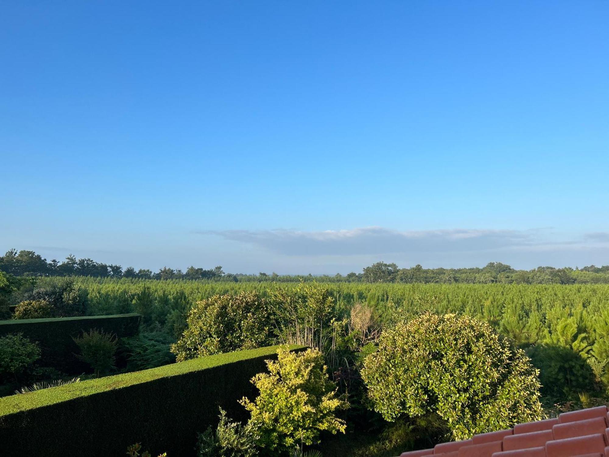Jolie Maison De Vacances Avec Terrasse Et Jardin Saint-Julien-en-Born Zewnętrze zdjęcie