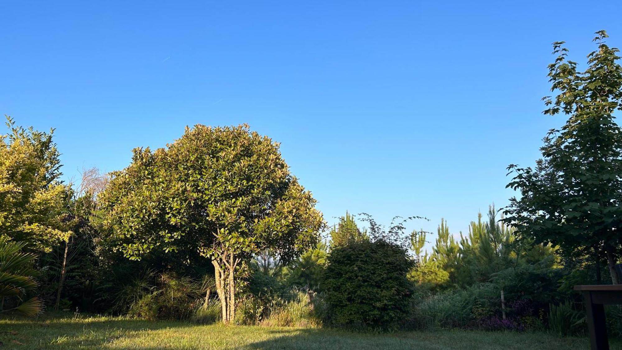 Jolie Maison De Vacances Avec Terrasse Et Jardin Saint-Julien-en-Born Zewnętrze zdjęcie